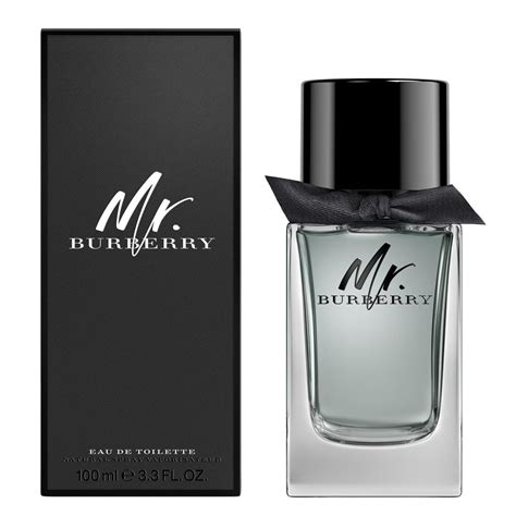 mr burberry by burberry for men|mr Burberry for men.